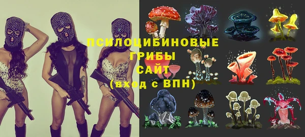 ALPHA-PVP Аркадак