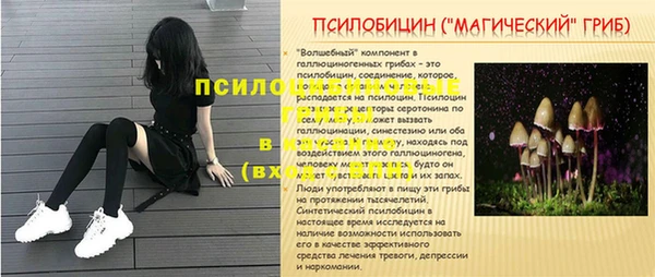 ALPHA-PVP Аркадак