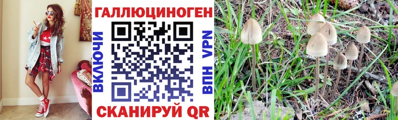 OMG ссылки  Нязепетровск  Псилоцибиновые грибы Psilocybine cubensis  закладки 