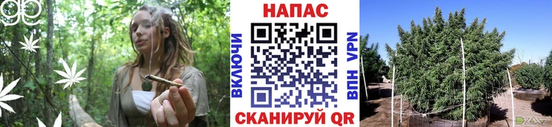 Канабис сатива ОМГ ОМГ онион Нязепетровск купить закладку